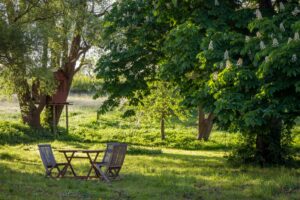 A table and chairs in the grass with nearby trees