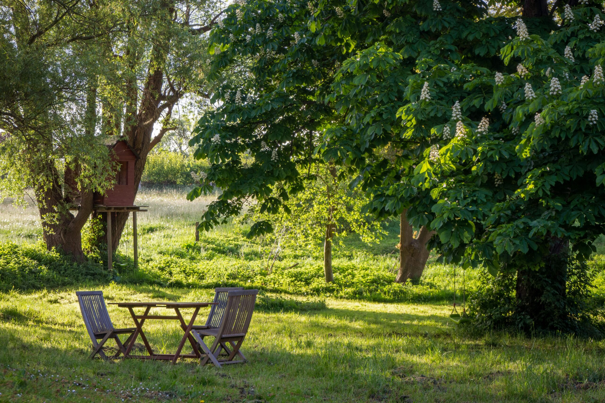 A table and chairs in the grass with nearby trees