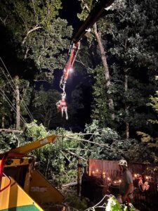 Emergency tree work at night clearing a fallen tree