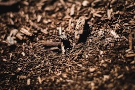 Close up of mulch