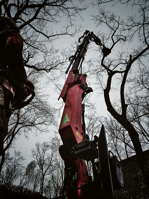 Extended arm of the treemek holding part of a tree