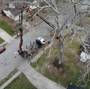 Drone shot of crane assisted tree removal