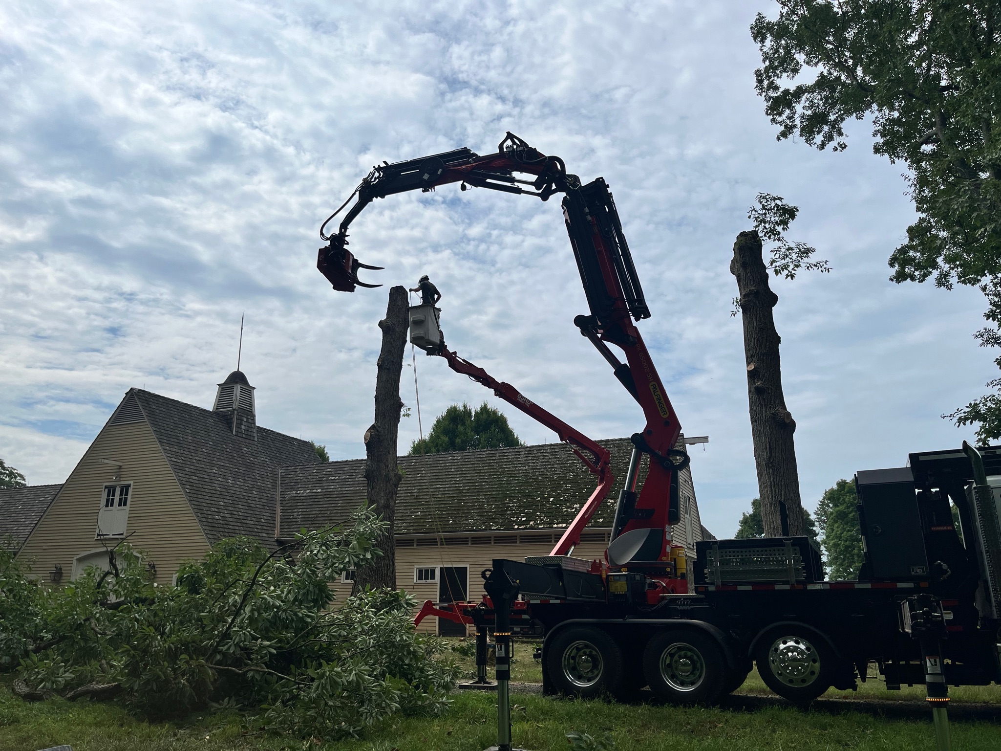 Fairfax, VA Tree Removal | Barren Tree Solutions