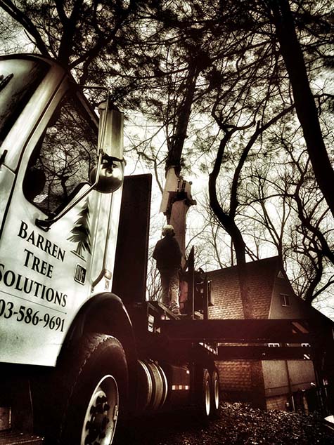 Tree removal truck with an extended arm at work