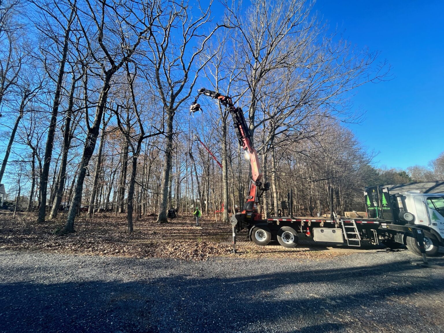 Barren Tree Solutions Inc. - Tree service Nokesville, Virginia