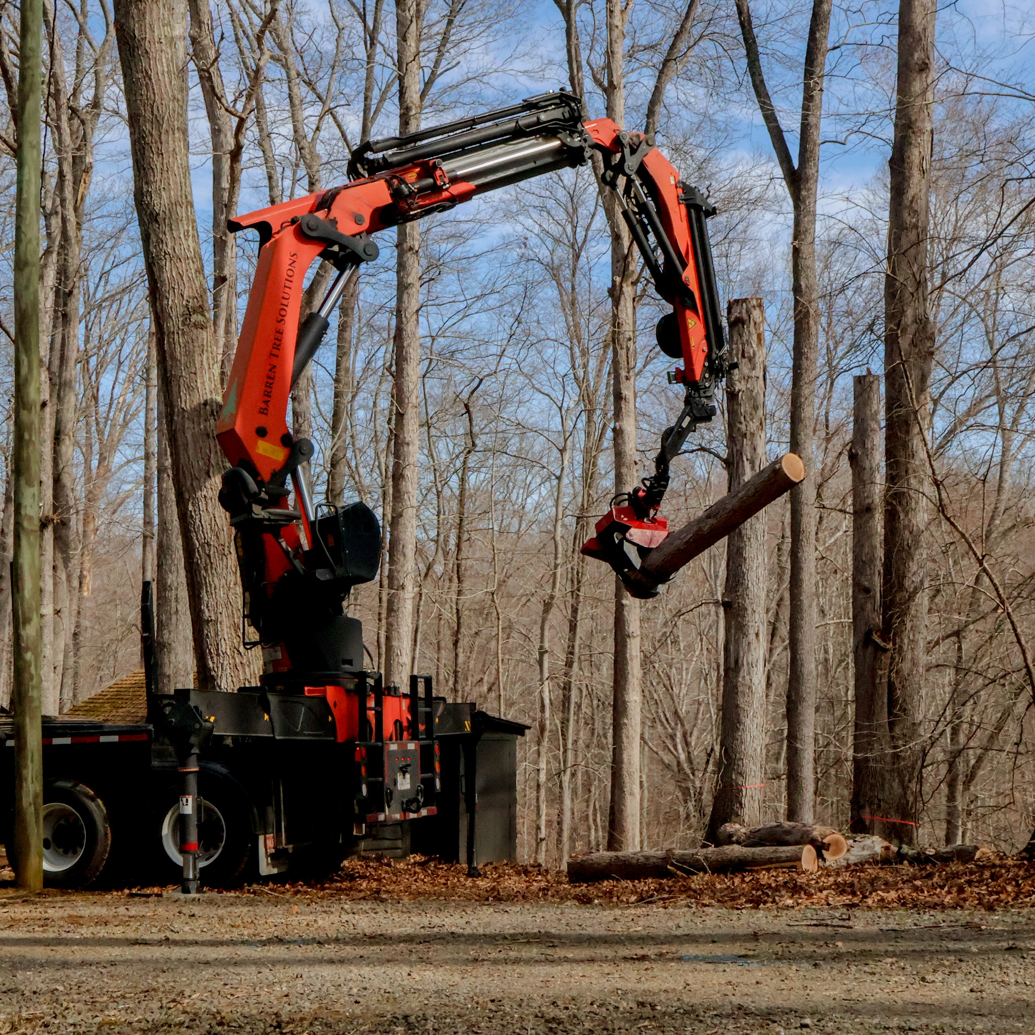 Barren Tree Solutions crane assisting with a tree removal